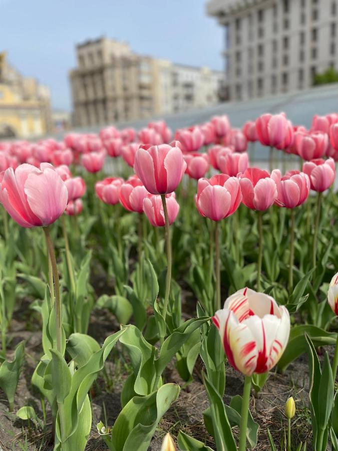 Однокімнатні Апартаменти На Майдані, Дистанційне Заселення 24Х7 Kiev Bagian luar foto